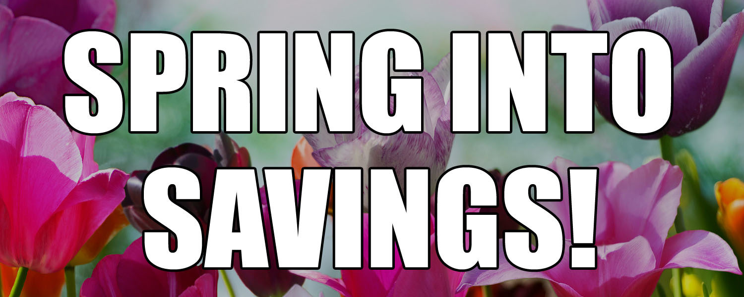 Thrift Store Lodi Junction 111 S. School Street, Lodi, CA 95240